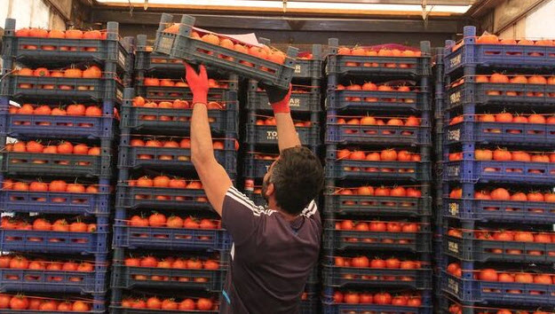 2026 Yılında Gıda Enflasyonu ve Tarım Teknolojileri: 2026'da Tarladan Sofraya Fiyatları Neler Belirleyecek?