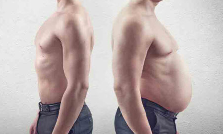 Bulk ve Definasyon Donemleri