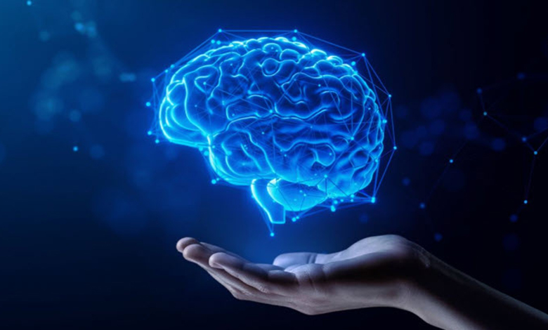 Sirkadiyen Ritim Optimizasyonu