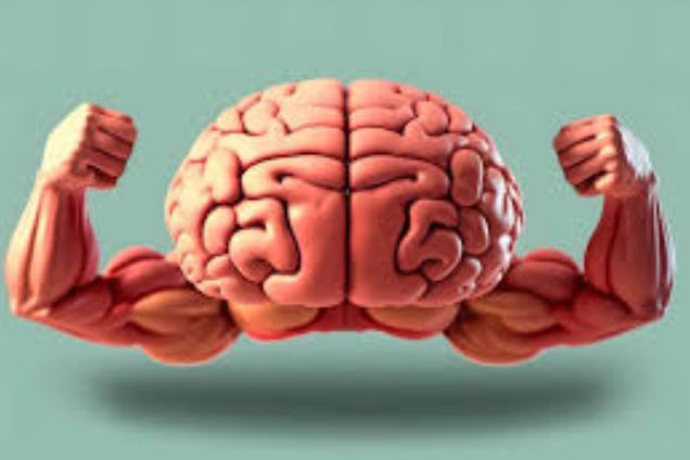 Nöro Fitness (Beyin Odaklı Antrenman): Fiziksel Performansı Sinir Sistemiyle Optimize Etme Rehberi