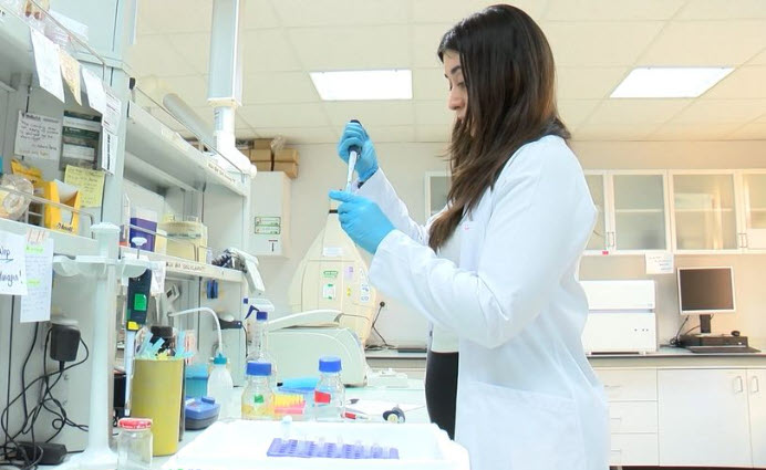 Hücresel Sağlık ve "Mito Hacking": Enerji Santrallerini Optimize Etmek