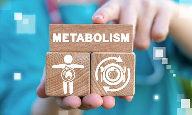 Metabolizma Yavaşlaması Neden Olur? 30 Yaş Sonrası Vücutta Ne Değişir?
