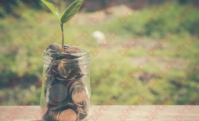 Küçük Birikimlerle Yatırım Yapmak Mümkün mü? Yeni Başlayanlar Rehberi