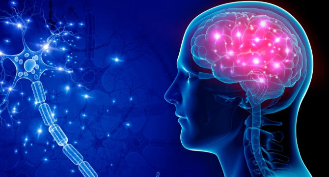 Spor Yapmana Rağmen Gelişemiyorsan Sebep Kas Değil, Sinir Sistemi ve Spor Arasındaki İlişki!